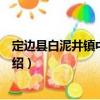 定邊縣白泥井鎮中心小學（關于定邊縣白泥井鎮中心小學介紹）