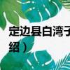 定邊縣白灣子中學（關于定邊縣白灣子中學介紹）