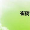 崔樹青（關于崔樹青簡介）