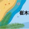 崔木楊（關于崔木楊簡介）