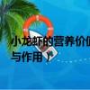 小龍蝦的營養價值及功效與作用（小龍蝦的營養價值和功效與作用）