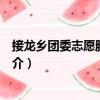 接龍鄉團委志愿服務大隊（關于接龍鄉團委志愿服務大隊簡介）