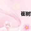 崔樹凱（關于崔樹凱簡介）