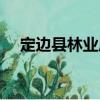 定邊縣林業局（關于定邊縣林業局介紹）