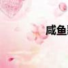 咸魚歌詞（咸魚歌曲簡介）