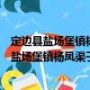 定邊縣鹽場堡鎮楊鳳渠子村扶貧互助資金協會（關于定邊縣鹽場堡鎮楊鳳渠子村扶貧互助資金協會介紹）