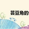 蕓豆角的做法（蕓豆角的做法步驟）