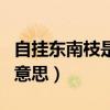 自掛東南枝是什么梗（怎么理解自掛東南枝的意思）