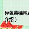 異色黃穗棘豆 變型（關于異色黃穗棘豆 變型介紹）