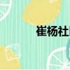 崔楊社區（關于崔楊社區簡介）
