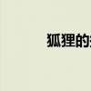 狐貍的拼音聲調（狐貍怎么讀）