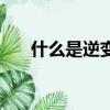 什么是逆變器（逆變器的作用是什么）