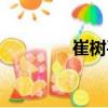 崔樹平（關于崔樹平簡介）