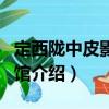 定西隴中皮影博物館（關于定西隴中皮影博物館介紹）