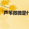 蘆葦微微是什么電視劇（男女主是誰演的）