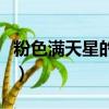 粉色滿天星的花語（粉色滿天星的花語是什么）