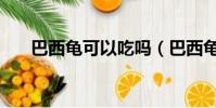 巴西龜可以吃嗎(巴西龜可不可以吃)