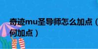 奇跡mu圣導師怎么加點(奇跡mu圣導師如何加點)