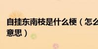 自掛東南枝是什么梗(怎么理解自掛東南枝的意思)
