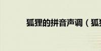 狐貍的拼音聲調(狐貍怎么讀)