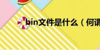 bin文件是什么(何謂bin文件)