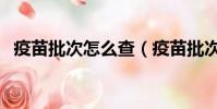 疫苗批次怎么查(疫苗批次查詢操作步驟)