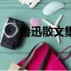 魯迅散文集有哪些（關于魯迅散文集）