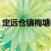 定遠倉鎮梅塘村（關于定遠倉鎮梅塘村介紹）