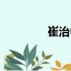 崔治中（關于崔治中簡介）