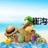 崔溝村（關于崔溝村簡介）