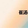 崔湯村（關于崔湯村簡介）