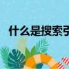 什么是搜索引擎優化（搜索引擎優化簡述）