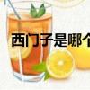 西門子是哪個國家的（西門子國籍是德國）