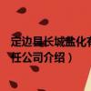定邊縣長城鹽化有限責任公司（關于定邊縣長城鹽化有限責任公司介紹）