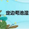 定邊茍池濕地（關于定邊茍池濕地介紹）