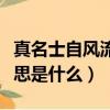 真名士自風流是什么意思（真名士自風流的意思是什么）