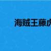 海賊王藤虎介紹（現任海軍大將藤虎）
