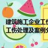 建筑施工企業工傷處理及案例分析手冊（關于建筑施工企業工傷處理及案例分析手冊介紹）