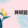 異韌亞綱（關于異韌亞綱介紹）