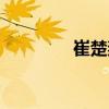 崔楚奕（關于崔楚奕簡介）