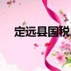 定遠縣國稅局（關于定遠縣國稅局介紹）
