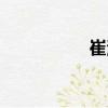 崔波（關于崔波簡介）