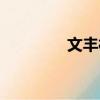 文豐村（關于文豐村簡介）