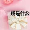 翔是什么梗（網絡語翔是什么意思）