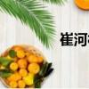 崔河村（關于崔河村簡介）