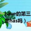 have的第三人稱單數（have的第三人稱單數是has嗎）