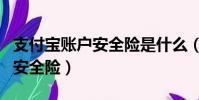 支付寶賬戶安全險是什么(什么是支付寶賬戶安全險)