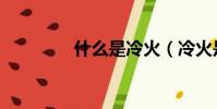 什么是冷火(冷火是什么)