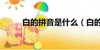 白的拼音是什么(白的拼音是啥)