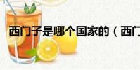 西門子是哪個國家的(西門子國籍是德國)